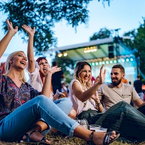 A group of people is sitting on the grass, enjoying an outdoor event with a stage in the background and vibrant expressions.